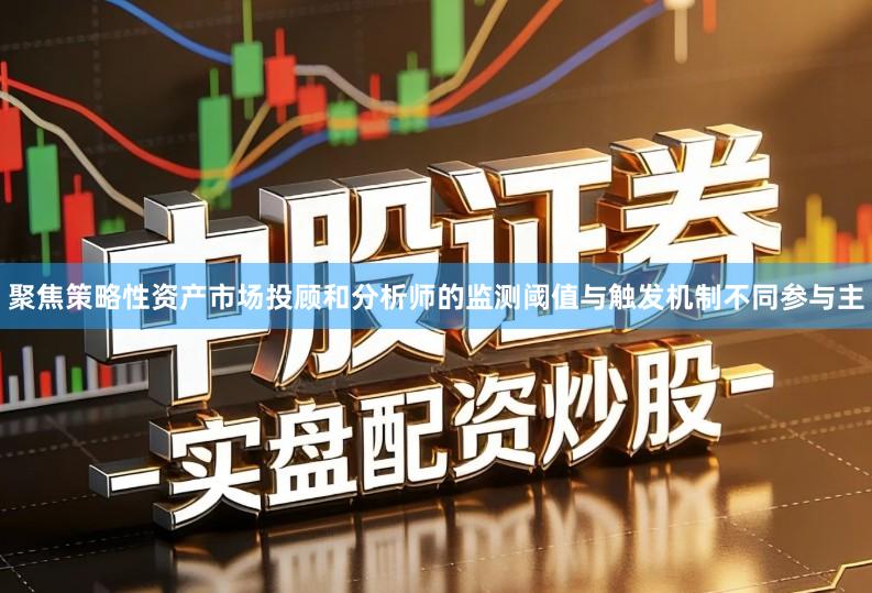 聚焦策略性资产市场投顾和分析师的监测阈值与触发机制不同参与主