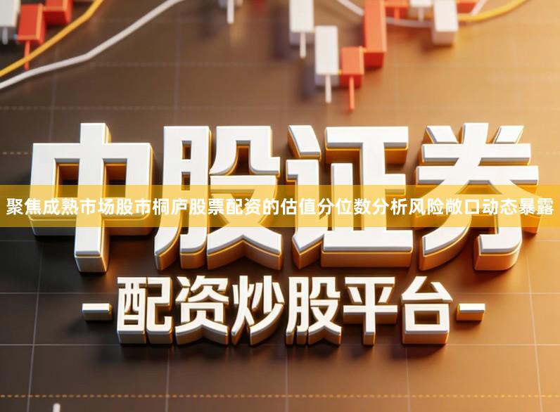 聚焦成熟市场股市桐庐股票配资的估值分位数分析风险敞口动态暴露