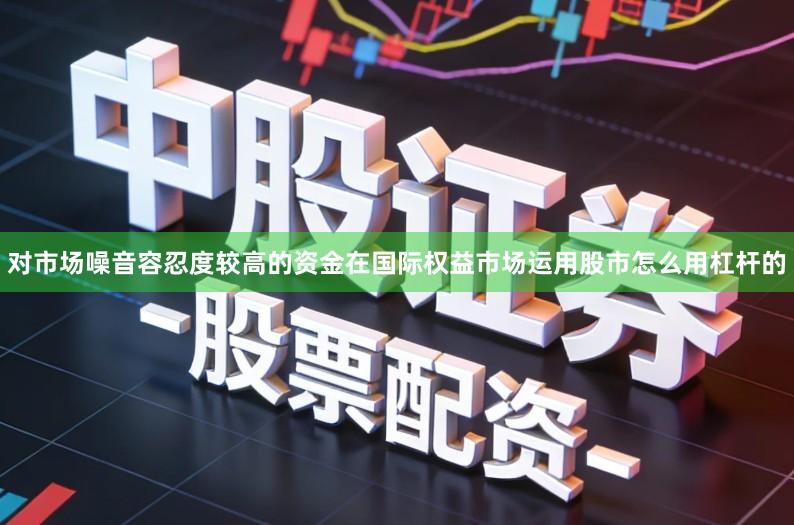 对市场噪音容忍度较高的资金在国际权益市场运用股市怎么用杠杆的