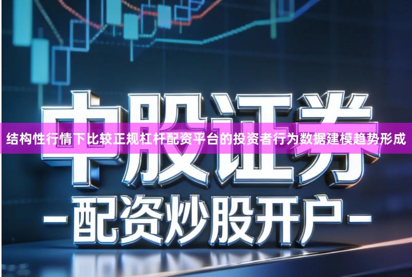 结构性行情下比较正规杠杆配资平台的投资者行为数据建模趋势形成