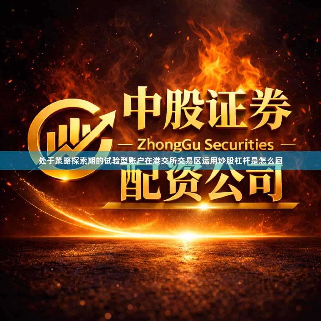 处于策略探索期的试验型账户在港交所交易区运用炒股杠杆是怎么回
