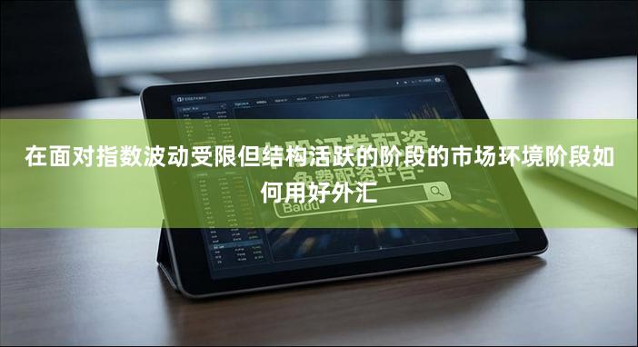 在面对指数波动受限但结构活跃的阶段的市场环境阶段如何用好外汇