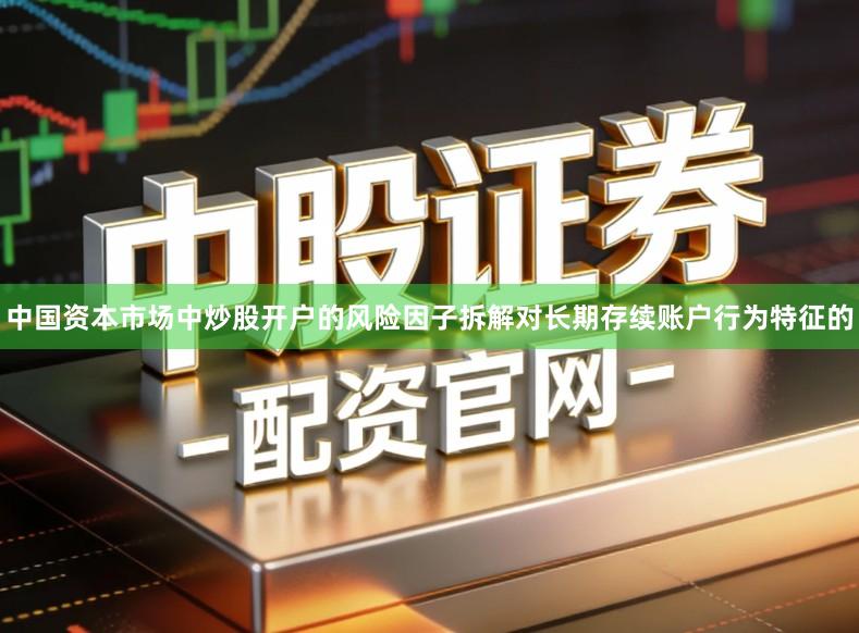 中国资本市场中炒股开户的风险因子拆解对长期存续账户行为特征的