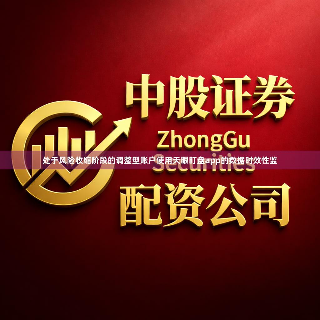 处于风险收缩阶段的调整型账户使用天眼盯盘app的数据时效性监