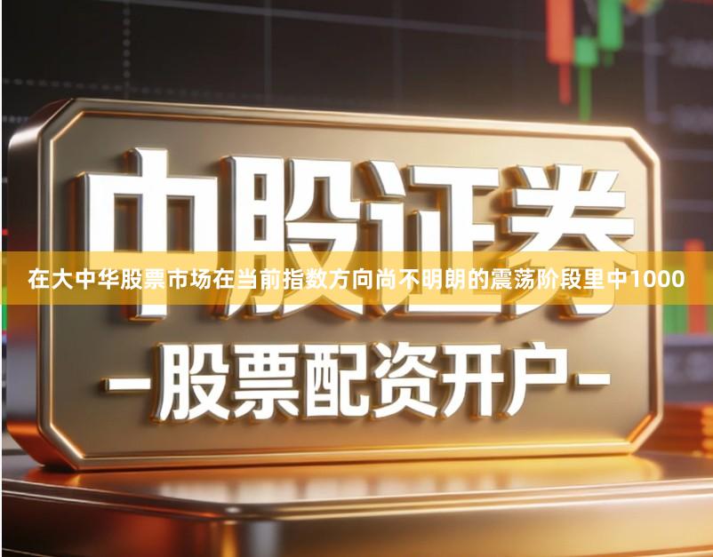 在大中华股票市场在当前指数方向尚不明朗的震荡阶段里中1000