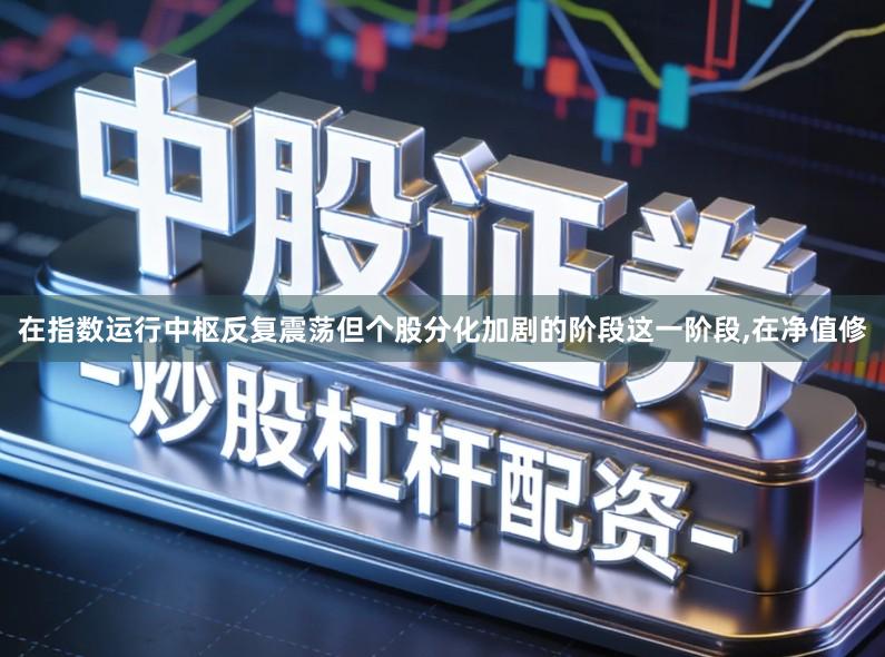 在指数运行中枢反复震荡但个股分化加剧的阶段这一阶段,在净值修