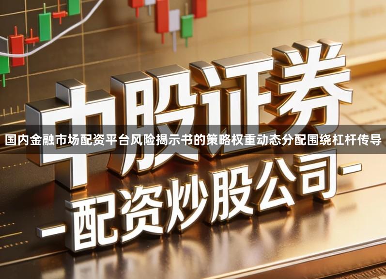 国内金融市场配资平台风险揭示书的策略权重动态分配围绕杠杆传导